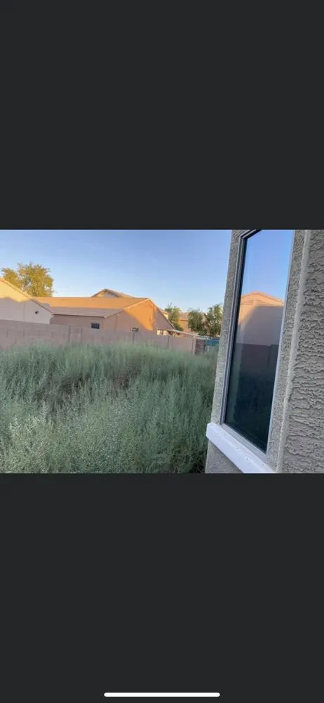 Affordable landscape design in Tolleson, AZ by I and M Landscape