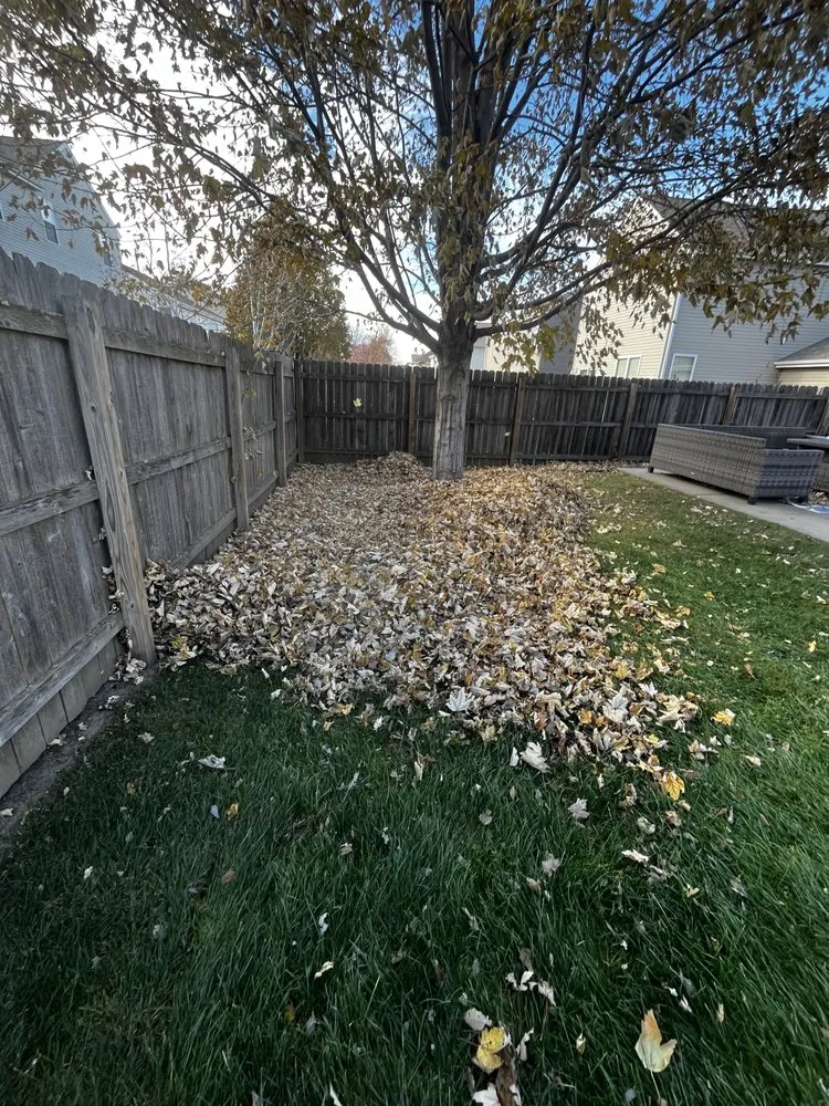 Professional landscaping services for beautiful yards across Omaha, NE - I and M Lawn and Lanscaping