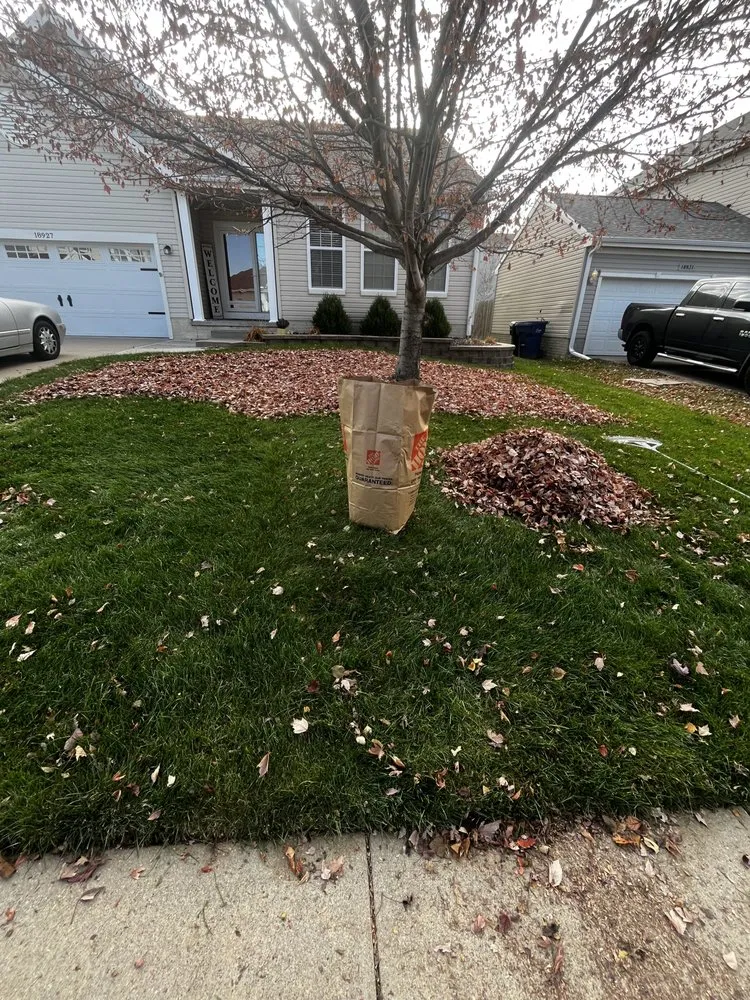 Local landscaping services in Omaha, NE by I and M Lawn and Lanscaping