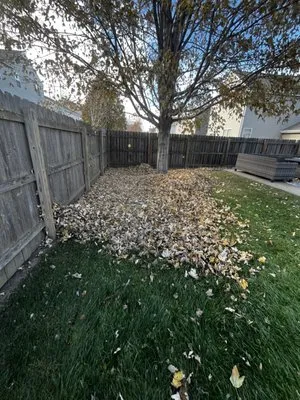 I and M Lawn and Lanscaping Logo