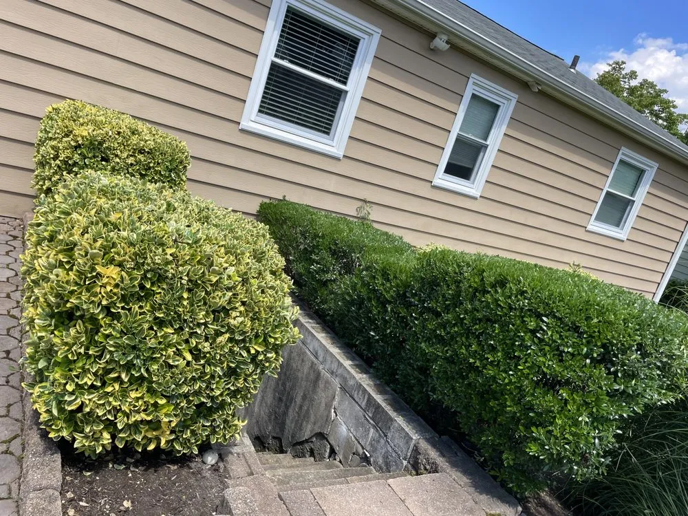 Expert yard maintenance in Philadelphia, PA - I C S landscaping