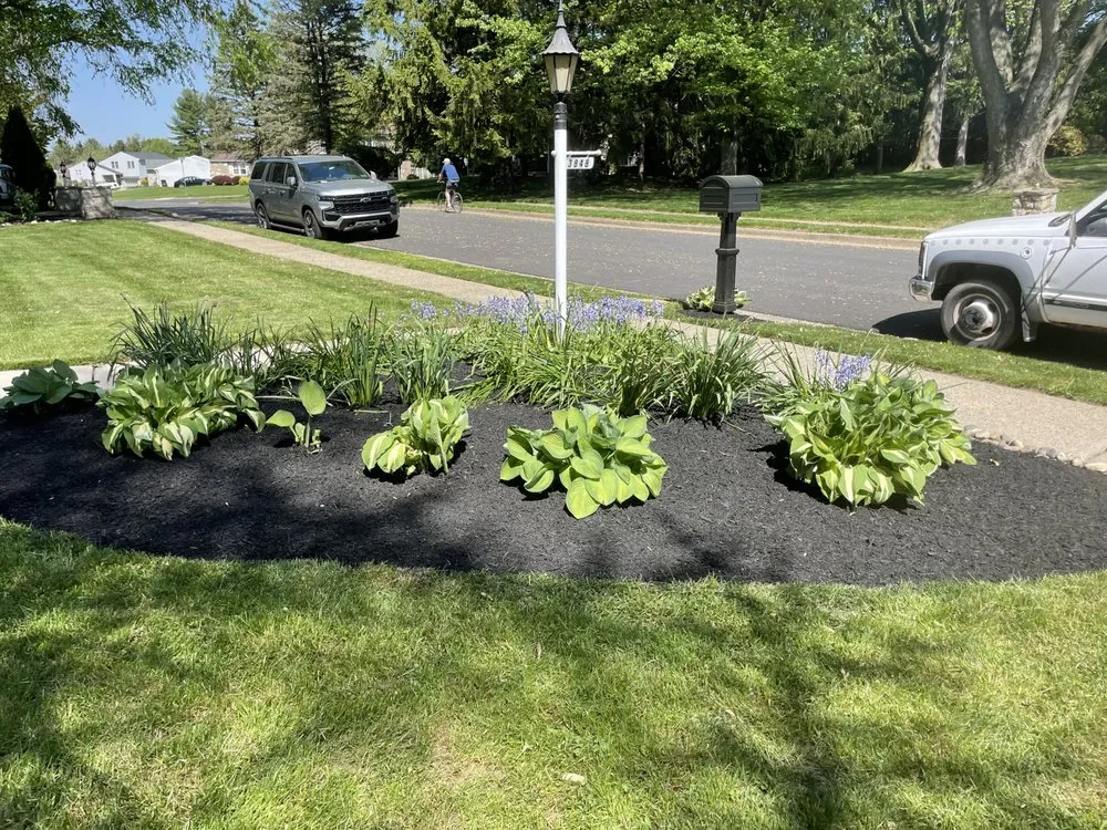 Trusted yard cleanup service in Philadelphia, PA by I C S landscaping