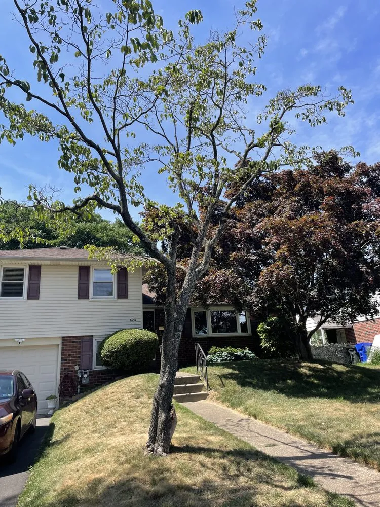 Affordable residential landscaping experts serving Philadelphia, PA - I C S landscaping