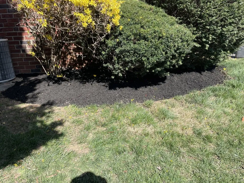 Top-rated residential landscaping with custom design across Philadelphia, PA - I C S landscaping