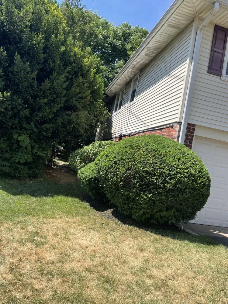 Reliable landscape installation experts serving Philadelphia, PA - I C S landscaping