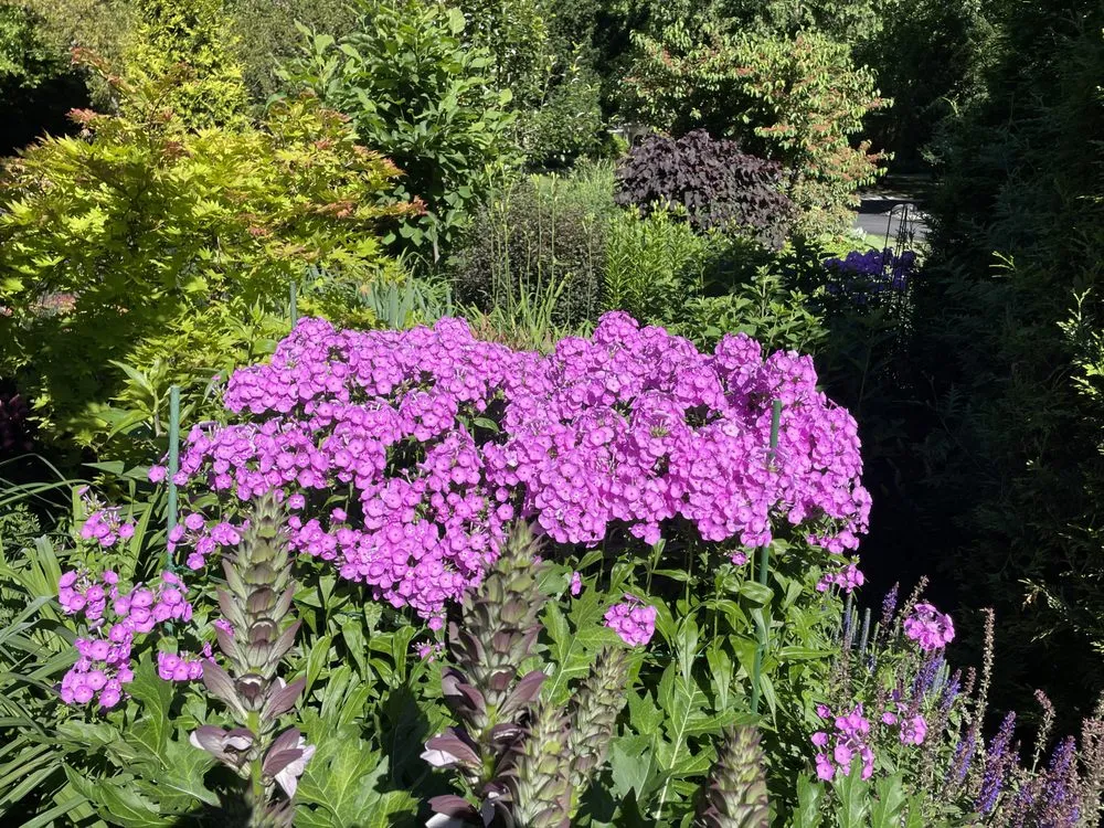 Top-rated lawn care service for year-round maintenance across Philadelphia, PA - I C S landscaping