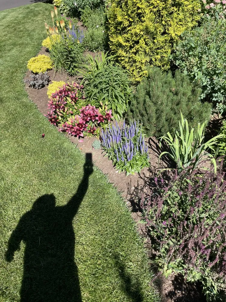 Trusted yard cleanup service with custom design across Philadelphia, PA - I C S landscaping