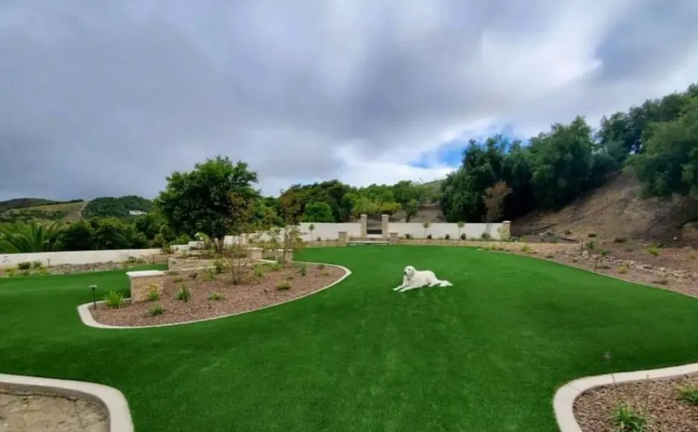 Expert residential landscaping in Buffalo, NY by I Can Make It Happen for you