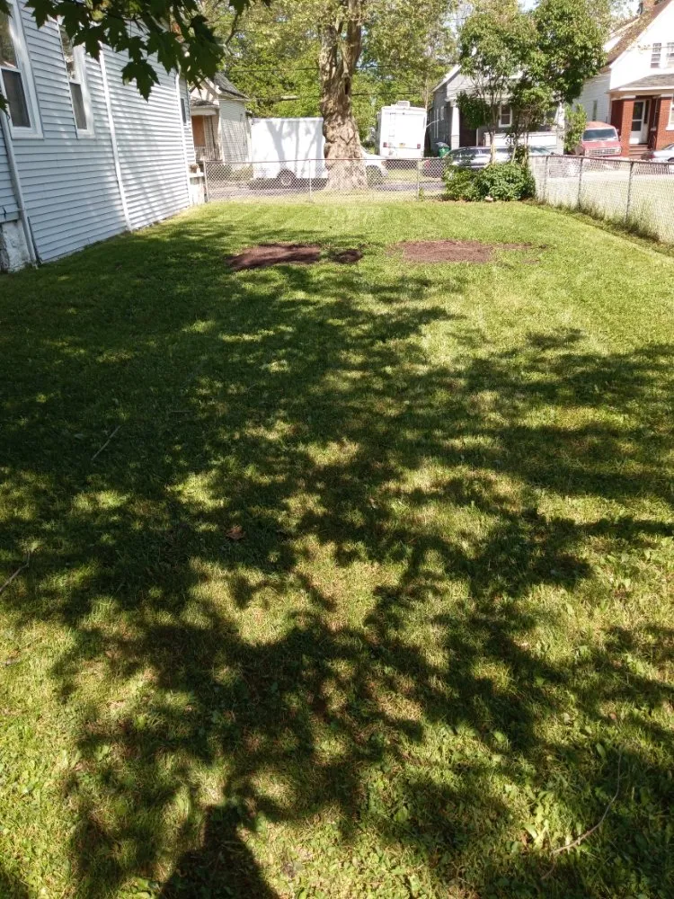 Reliable lawn mowing service in Buffalo, NY - I Can Make It Happen for you