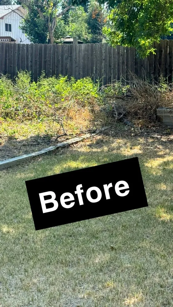 Top-rated yard maintenance with custom design in Colorado Springs, CO by I Care Landscaping & Services