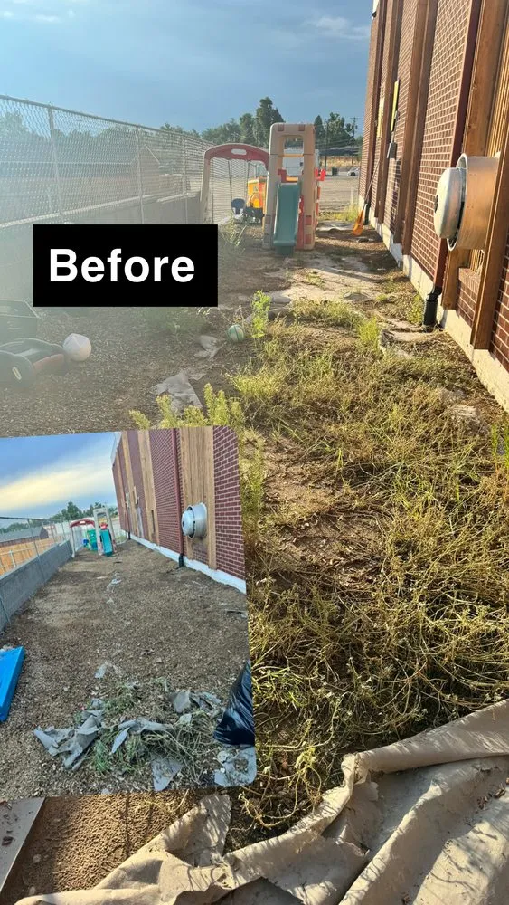 Top-rated residential landscaping experts serving Colorado Springs, CO - I Care Landscaping & Services