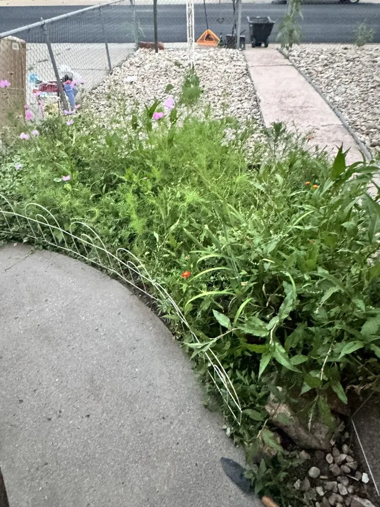 Custom garden landscaping experts serving Colorado Springs, CO - I Care Landscaping & Services