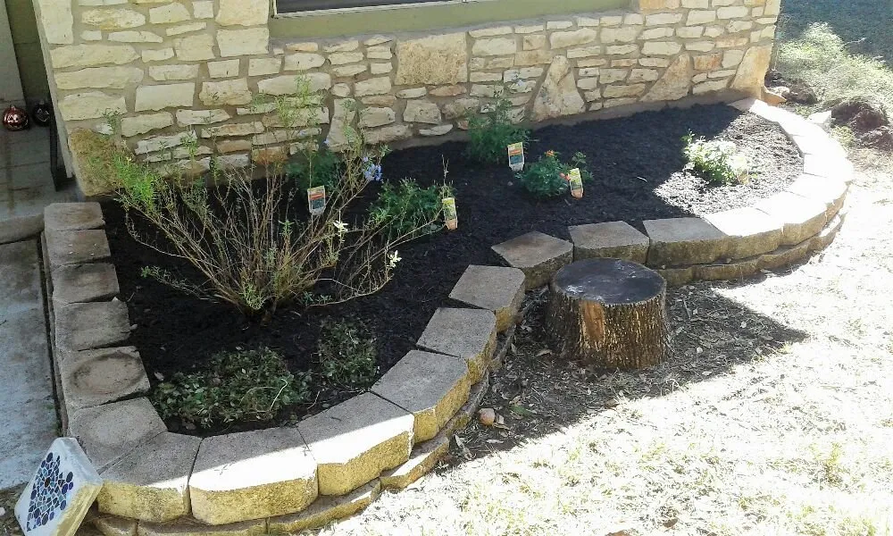 Trusted yard maintenance experts serving Austin, TX - I Care Lawn Care