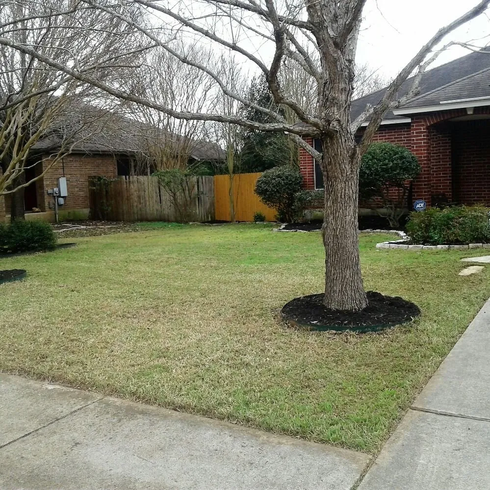 Professional landscape design with custom design across Austin, TX - I Care Lawn Care