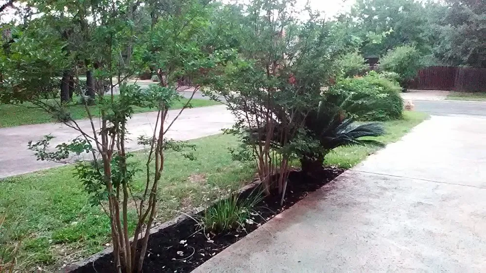 Local landscape installation with custom design across Austin, TX - I Care Lawn Care