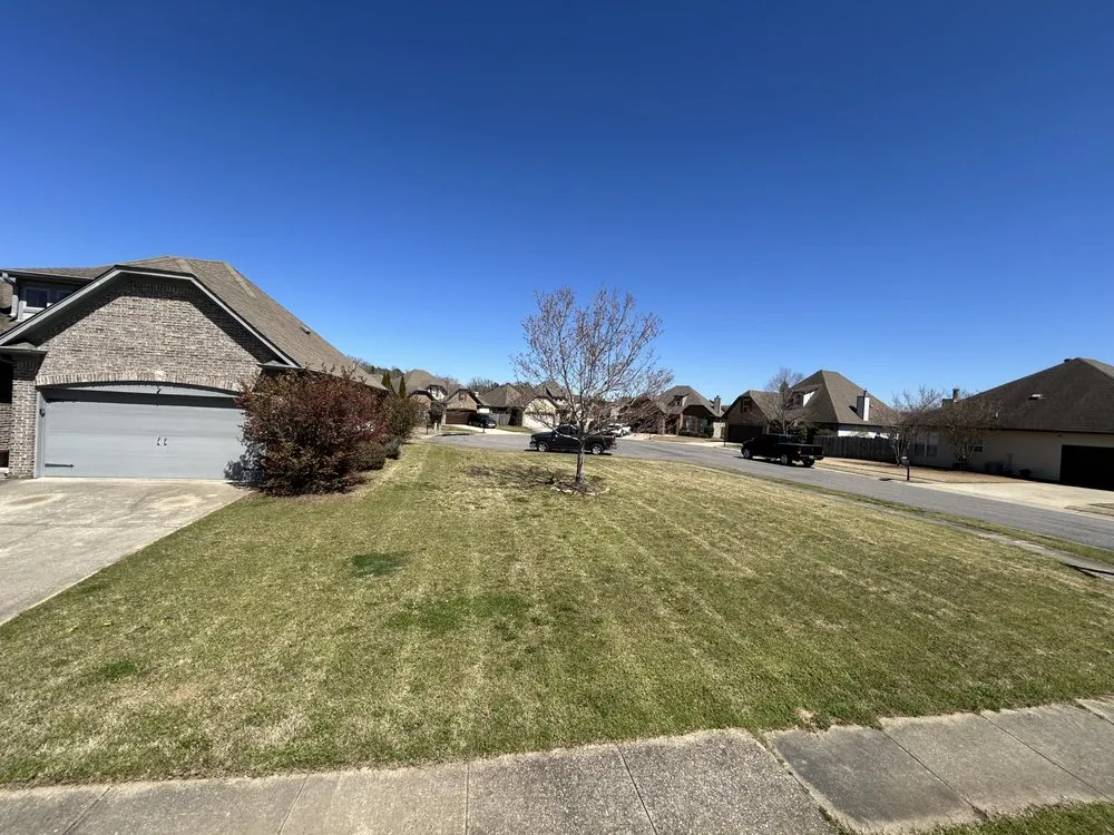 Top-rated landscape installation experts serving Birmingham, AL - I Care Lawn Care