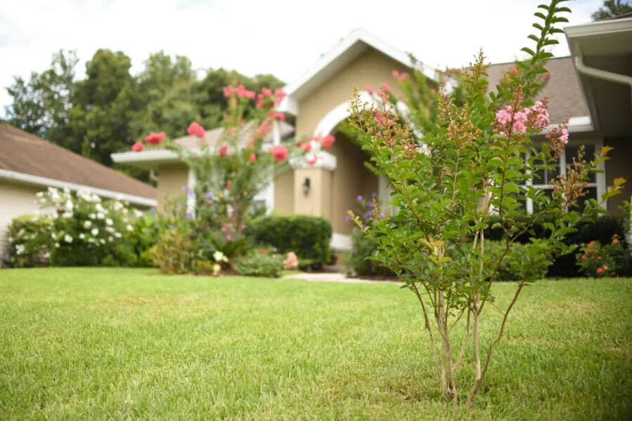 Trusted outdoor landscaping experts serving Land O Lakes, FL - I Care Lawn Care