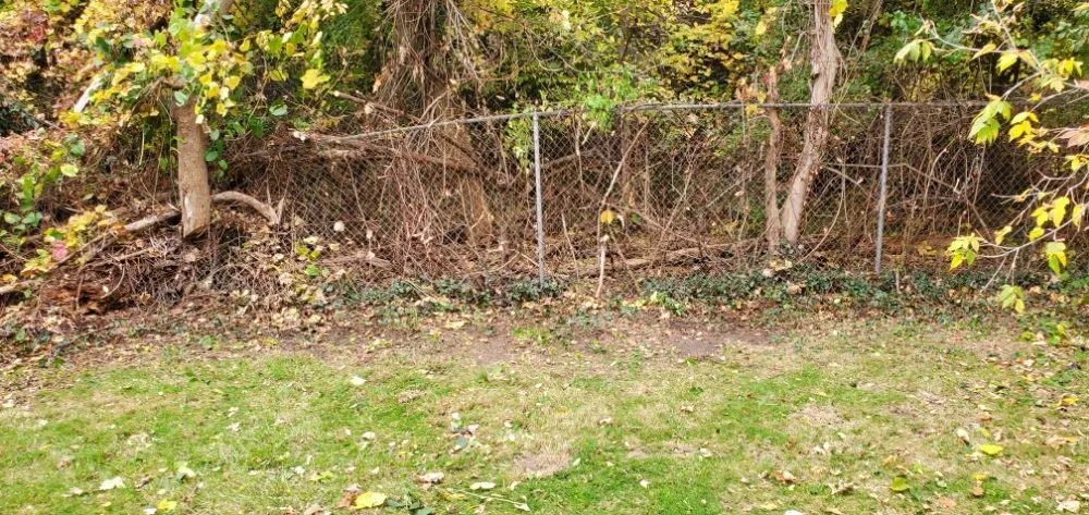 Affordable landscape design in Detroit, MI by I Care Lawn Service