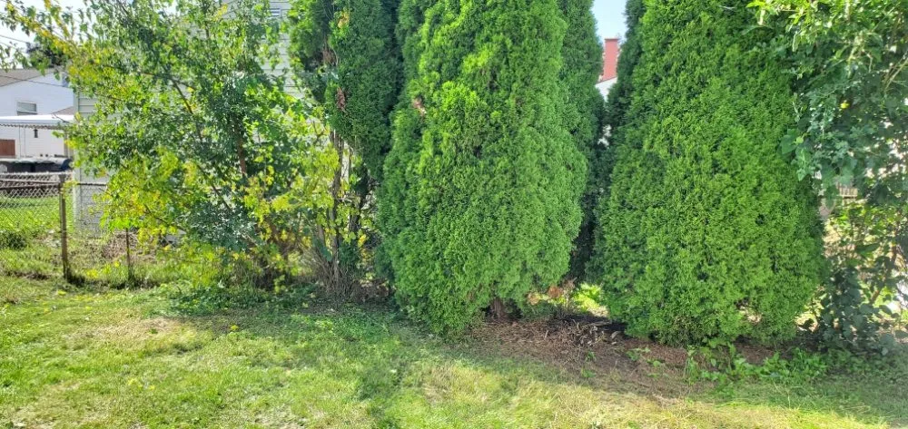 Local landscaping services for beautiful yards in Detroit, MI by I Care Lawn Service