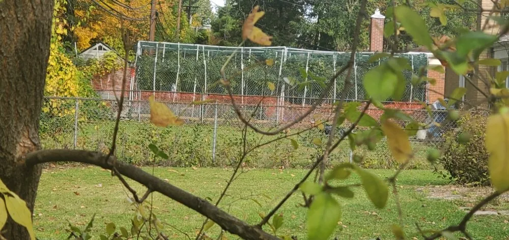 Affordable outdoor landscaping for beautiful yards in Detroit, MI by I Care Lawn Service