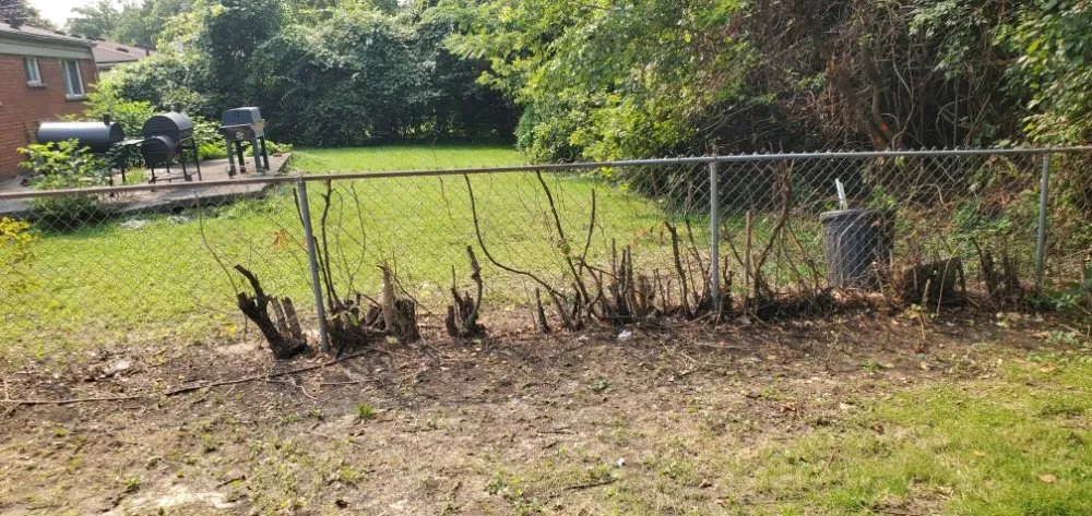 Top-rated landscaping services in Detroit, MI - I Care Lawn Service