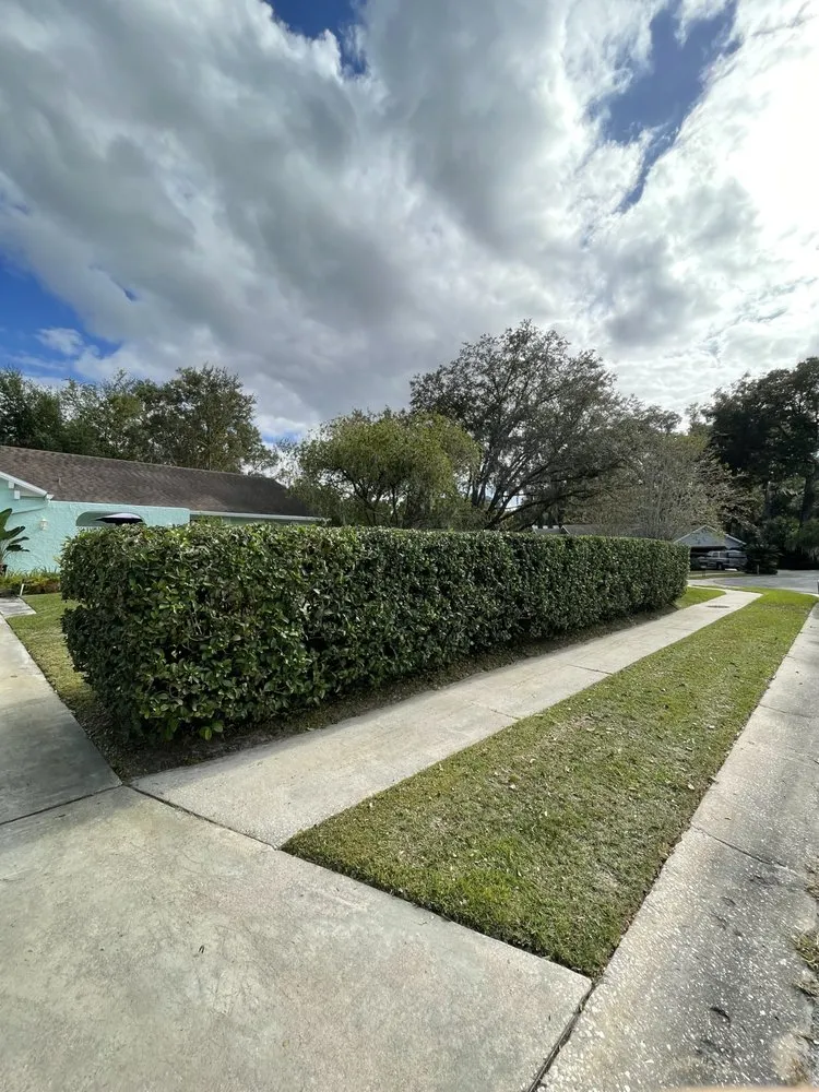 Expert landscaping services with custom design across DeLand, FL - I Cut Grass