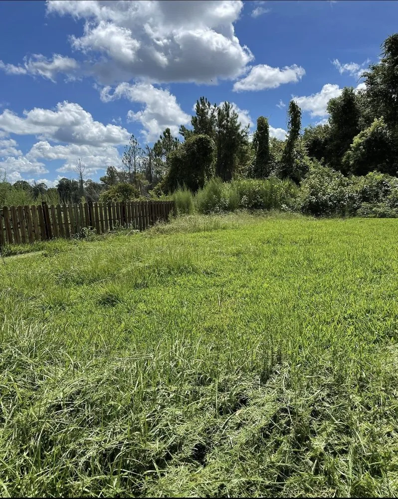 Expert yard maintenance experts serving DeLand, FL - I Cut Grass