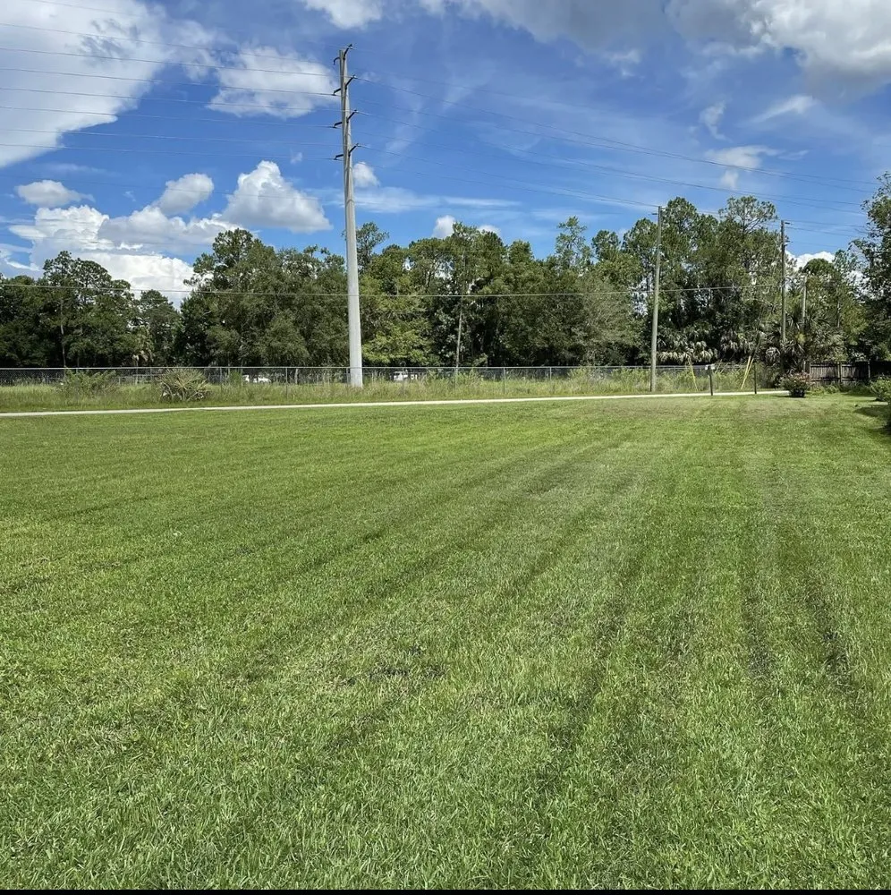 Professional residential landscaping in DeLand, FL - I Cut Grass