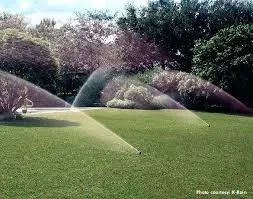 Local lawn care service for residential properties in Bay Shore, NY by I-Deal Irrigation