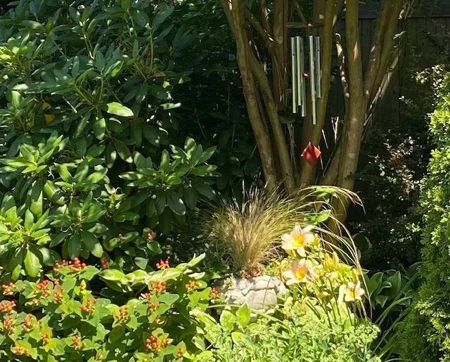 Trusted outdoor landscaping in Brightwaters, NY by I Do Weeds NY