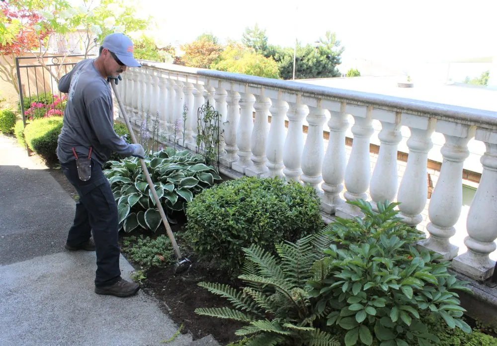 Top-rated lawn mowing service experts serving Seattle, WA - I DO YARD Maintenance