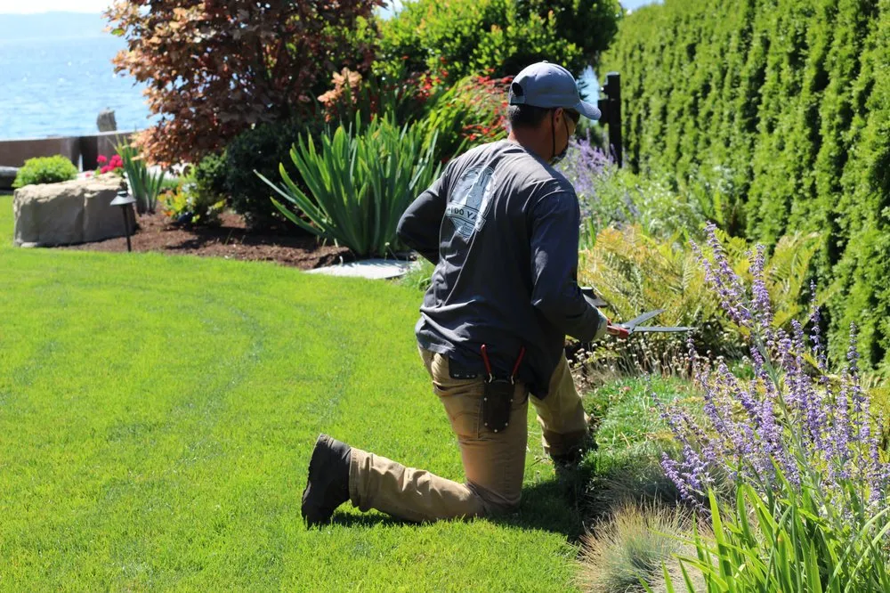 Trusted garden landscaping in Seattle, WA - I DO YARD Maintenance