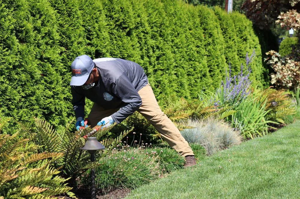 Affordable landscape design in Seattle, WA - I DO YARD Maintenance