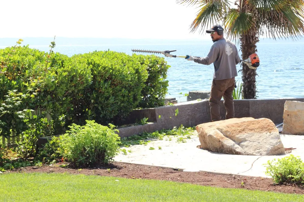 Reliable lawn care service in Seattle, WA by I DO YARD Maintenance
