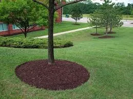 Reliable yard cleanup service in Killeen, TX by I Forgot Lawn Maintenance