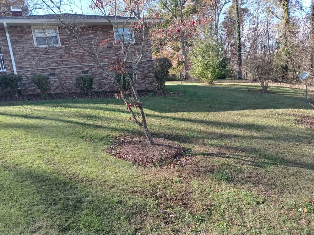 Professional landscape design in Greenville, SC - I GOT DEALZ LANDSCAPING