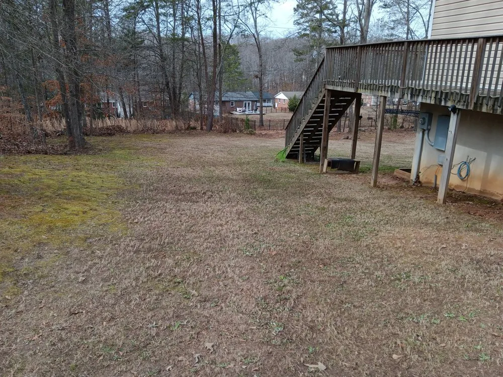 Affordable outdoor landscaping near you across Greenville, SC - I GOT DEALZ LANDSCAPING