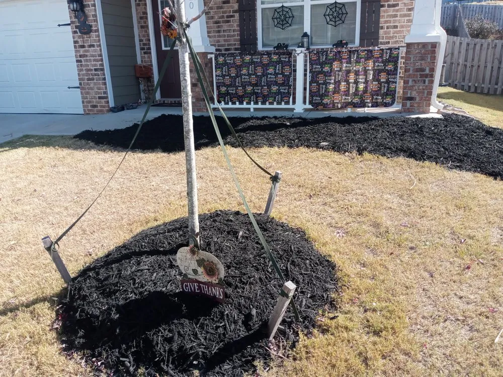 Trusted lawn mowing service in Greenville, SC - I GOT DEALZ LANDSCAPING