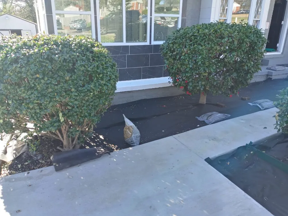 Reliable yard maintenance experts serving Greenville, SC - I GOT DEALZ LANDSCAPING