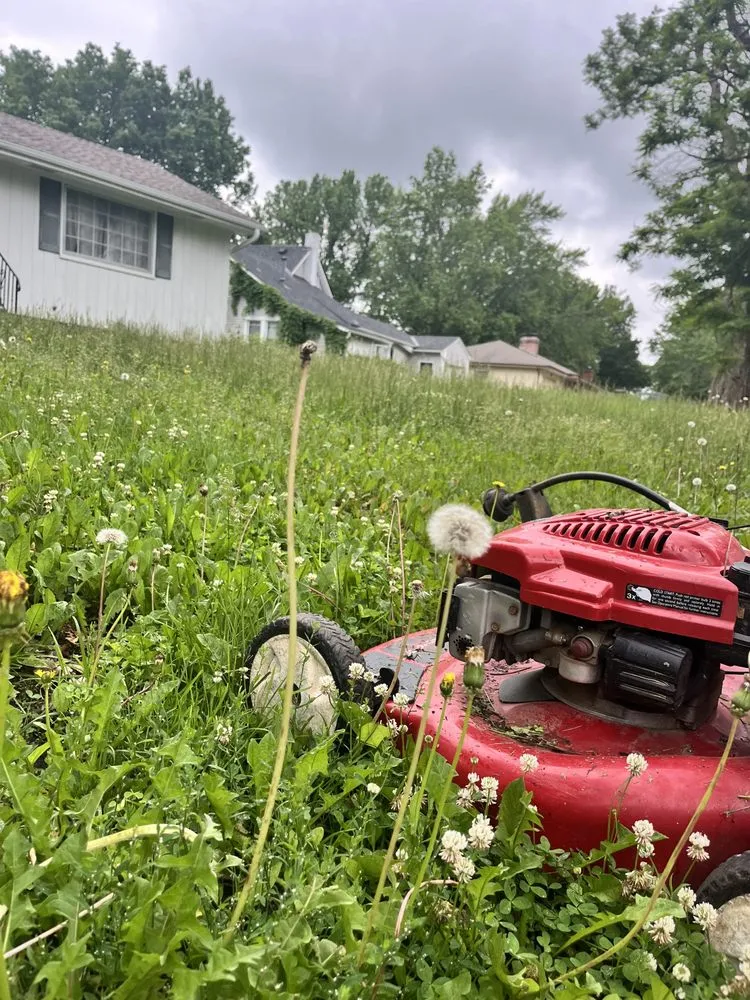 Local yard maintenance for year-round maintenance across Kansas City, MO - I Got It