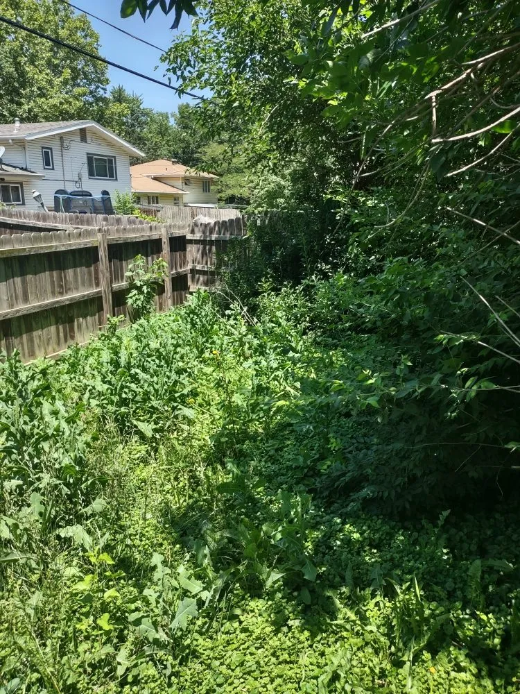 Affordable yard maintenance in Topeka, KS - I Got Your Lawn From Now On