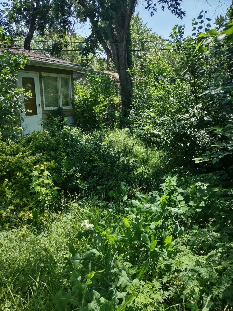 Top-rated yard maintenance in Topeka, KS by I Got Your Lawn From Now On