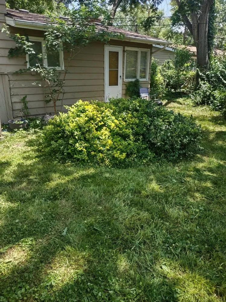 Professional residential landscaping for year-round maintenance across Topeka, KS - I Got Your Lawn From Now On