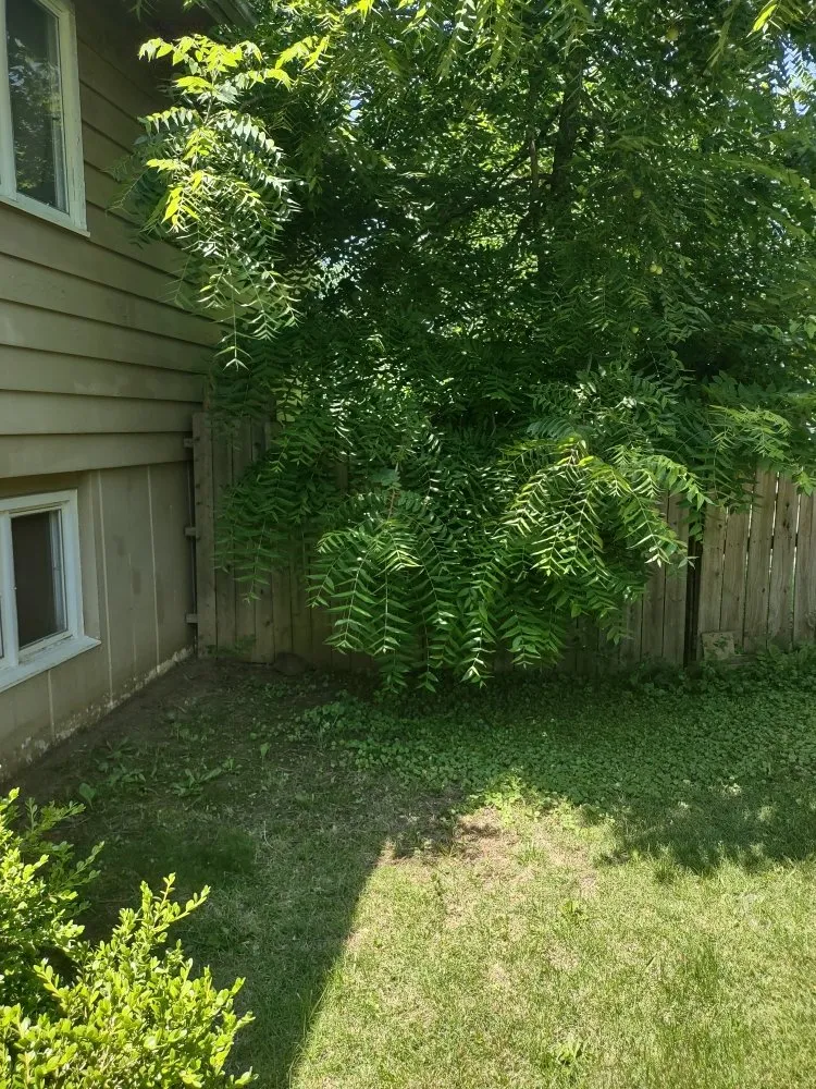 Expert outdoor landscaping in Topeka, KS - I Got Your Lawn From Now On