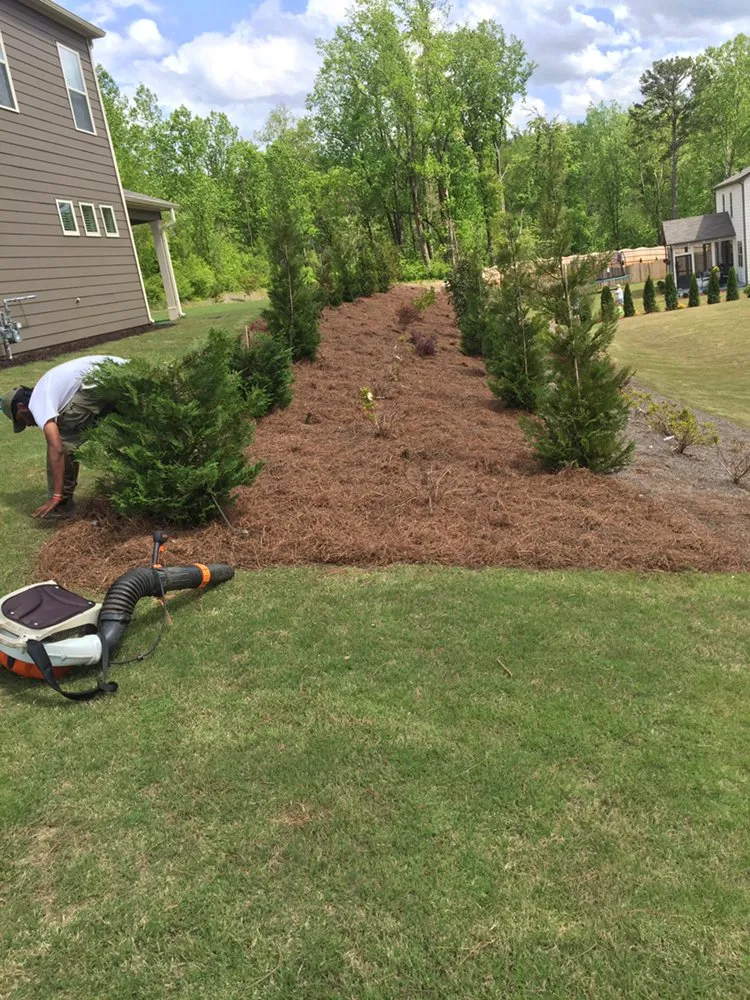 Professional landscape design in Roswell, GA by I Gotcha Lawn Care