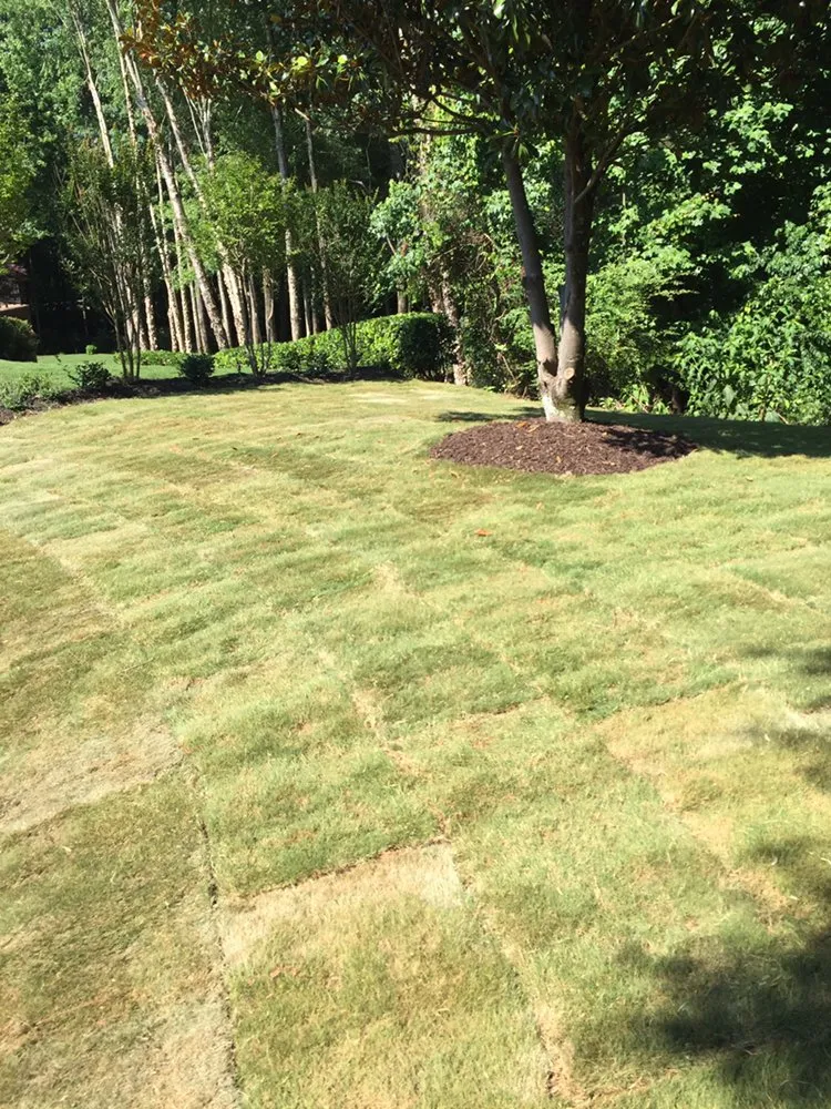 Top-rated landscape installation experts serving Roswell, GA - I Gotcha Lawn Care