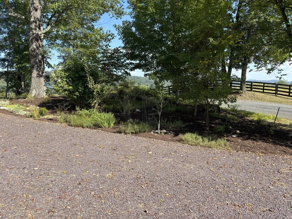 Affordable yard maintenance in Mount Jackson, VA - I H N Services