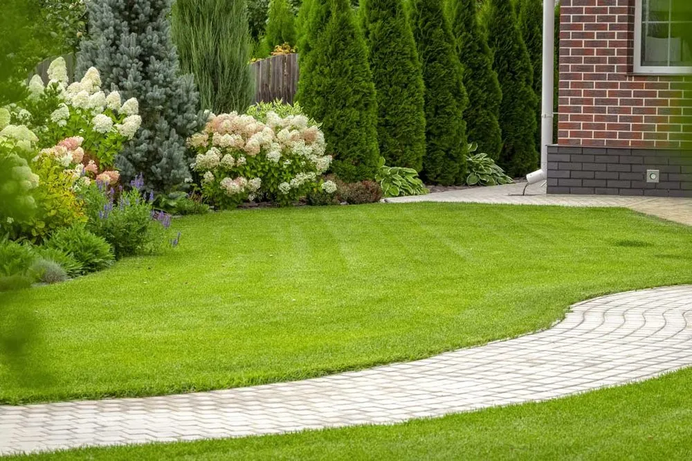 Professional lawn care service in Fallbrook, CA by I Haul Landscape Services