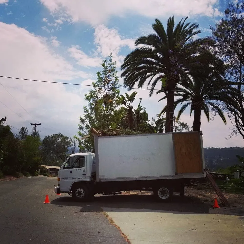 Trusted landscaping services for residential properties in Fallbrook, CA by I Haul Landscape Services