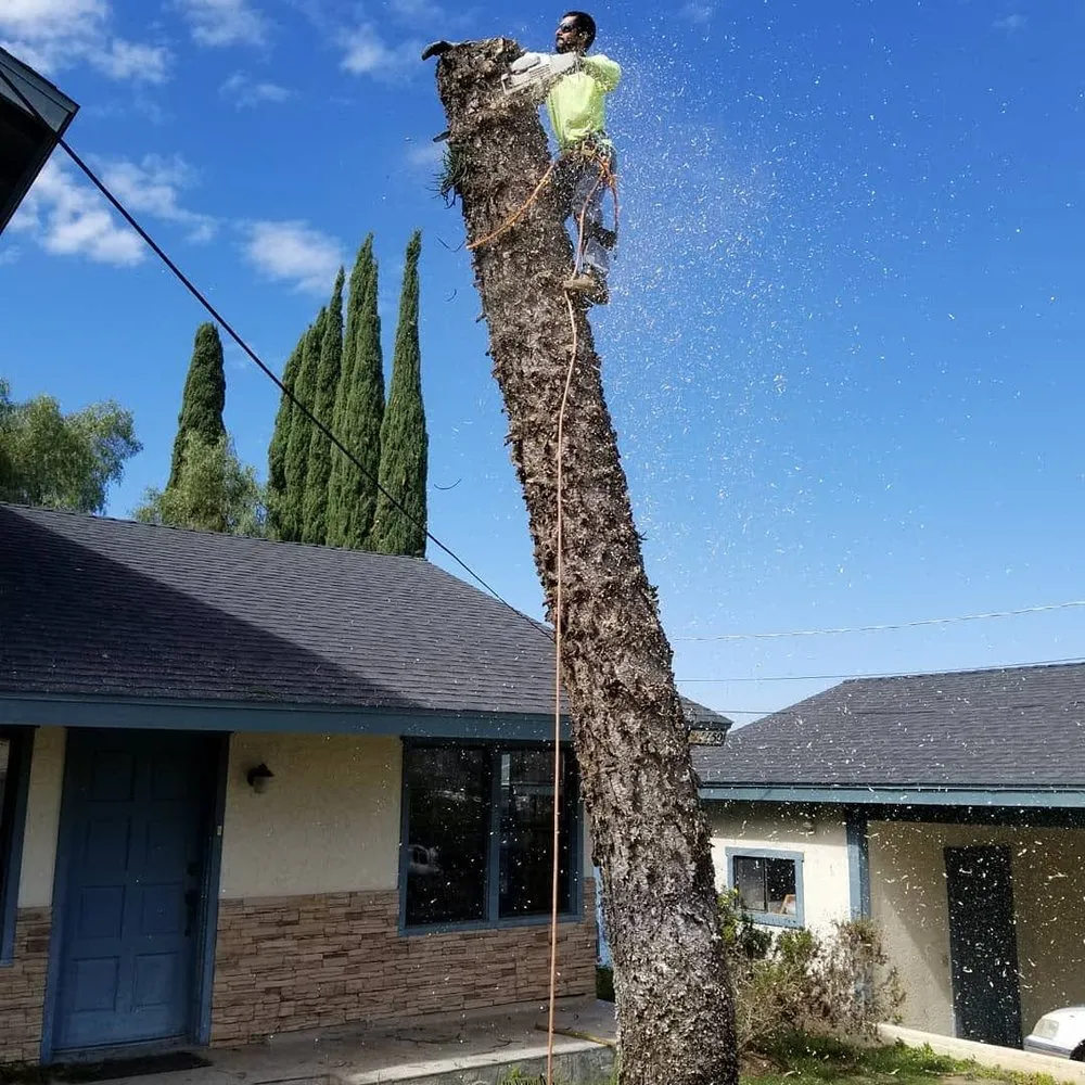 Affordable landscaping services experts serving Fallbrook, CA - I Haul Landscape Services